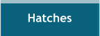 Hatches